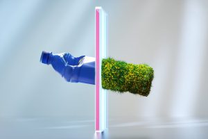 Transformation of a plastic bottle to green foliage.