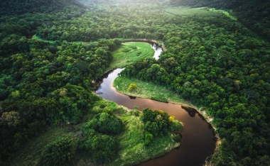 winding river with trees